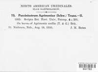 Pucciniastrum agrimoniae image